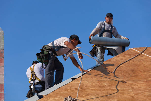 Best Local Roofing Companies  in Cave City, KY