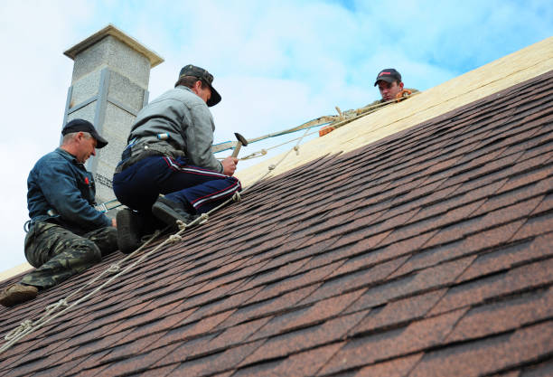 Best Roof Gutter Cleaning  in Cave City, KY